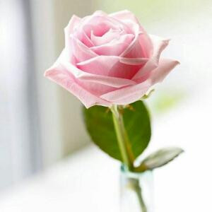 剩下的美好回忆