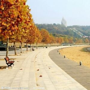 喜欢安静的地方