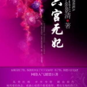 梦之翼