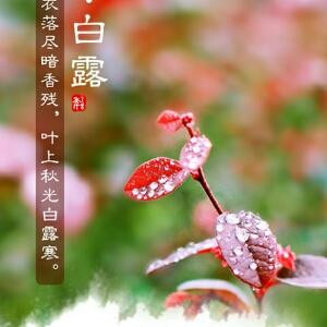 日月
