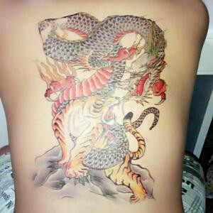 揉揉