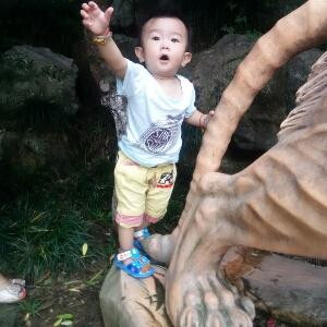 风的追