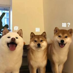 徒手劈雷