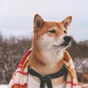 你眼里的我么