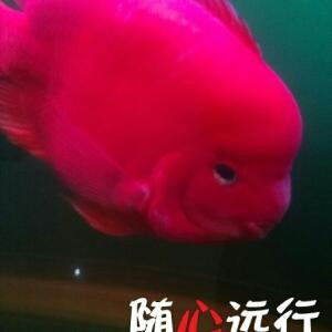 李海军