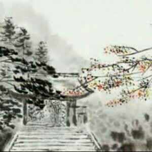 斑驳