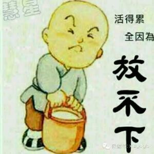 书虫