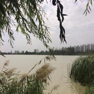 多云转晴