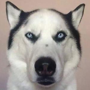 133