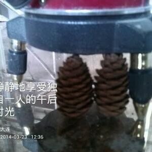 七情