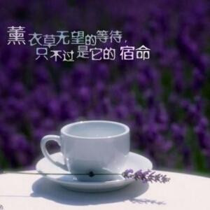 残风卷帘