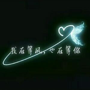 冰封玫瑰