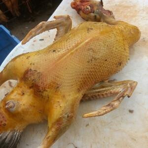 爱你在心口难开