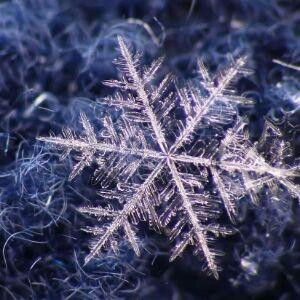 淡淡一笑很忧伤