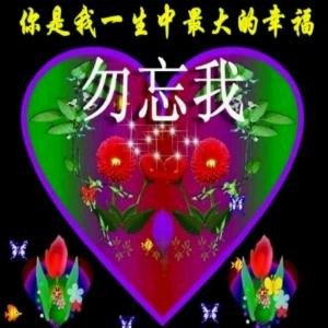 花非花雾非雾