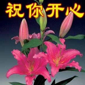 一尘