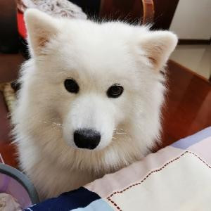 小欣