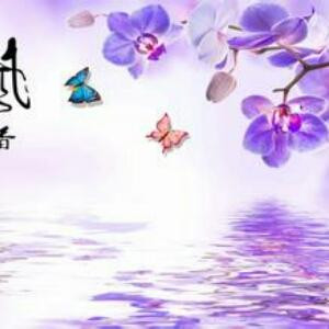 浅夏淡过花开时
