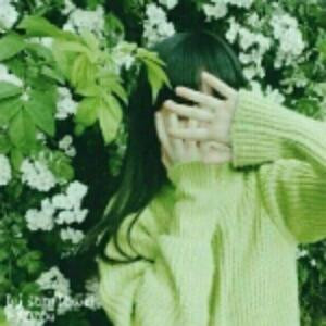 白衣飘飘