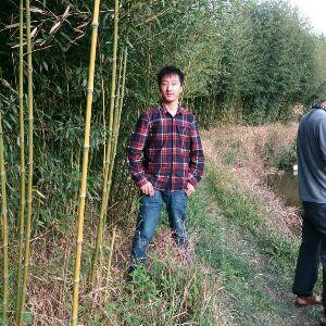 雅happy
