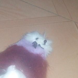 萌宝宝