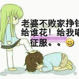 夕阳下的雪花