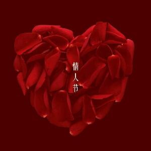 不悔梦归处