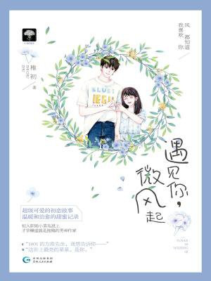 遇见你,微风起