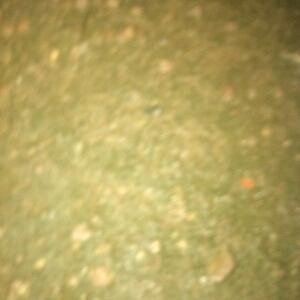 i640642701mkj