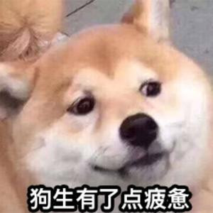 介是Jay