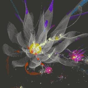 晓世界里的澜天