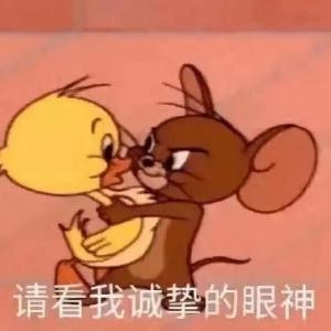 大货车的你