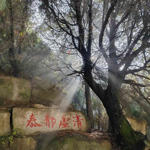 张瑞斌