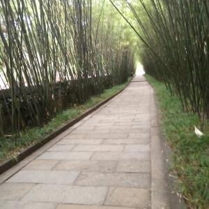 我想静静