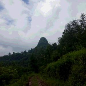 拽三少