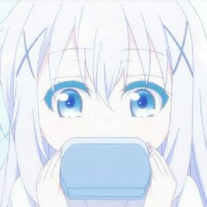 顾韶