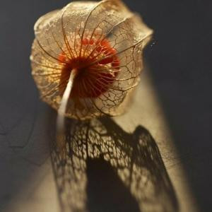 永远的思念，永远的痛