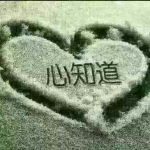 阳光总在风雨后