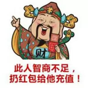 猫武士叶池