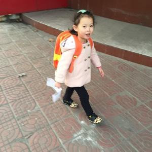 落花倾城