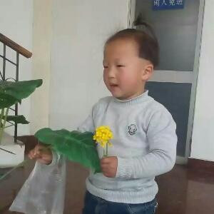 蓝色妖姬