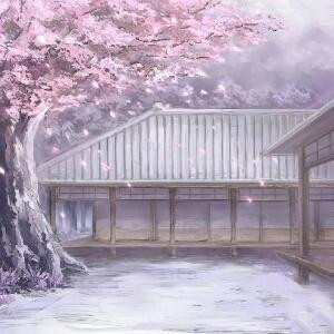 慧