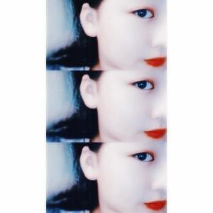 淑女难为
