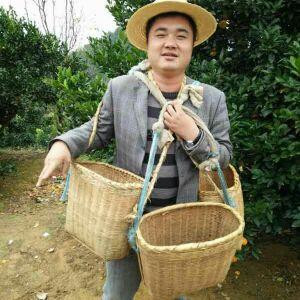 低调的忧郁