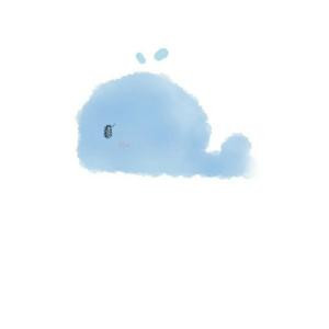 向来缘浅