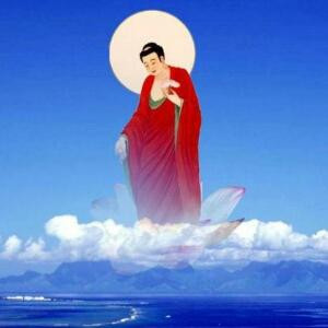 玮哥