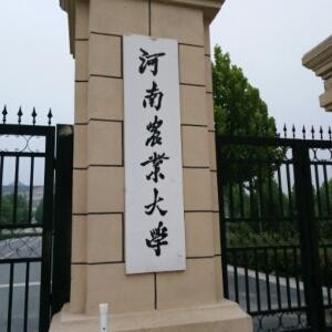 大哥大