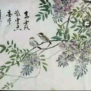 不争