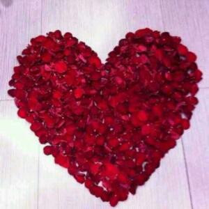 片刻的安宁欧耶