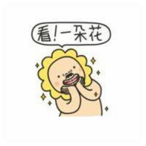 臭臭北鼻